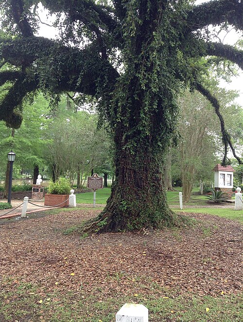 "Evangeline (Longfellow)"